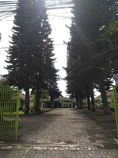 The image displays an outdoor, daytime scene within the city of Thit Seint Pin, Myanmar, depicting an entrance path leading towards a building complex. A dark grey interlocking paver driveway occupies the central foreground, extending into the midground. To the immediate left, a bright green, vertical-bar metal gate stands open. The driveway is bordered on both sides by tall, dark evergreen trees, which partially obscure views of light-colored buildings with reddish-brown tiled roofs situated behind them on both the left and right. The ground beneath the trees consists of dark soil or sparse ground cover. In the background, a light-colored, single-story building complex with a dark-colored roof is visible at the end of the driveway, featuring a central covered entrance and multiple windows. The sky overhead is overexposed and bright white, with several dark utility lines horizontally spanning the upper portion of the frame. No individuals are present.