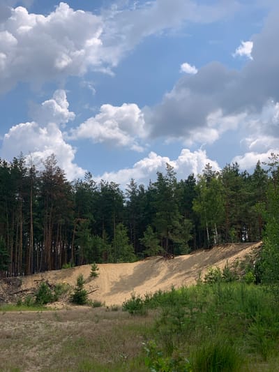 This media file depicts a natural outdoor scene in Hostomel, Ukraine. The primary subjects are a forest with tall, mature pine trees and a sandy embankment or dune. The forest is dense and appears to be growing on and around the sandy slope. The sky is visible on the left side of the image, filled with a mix of white, fluffy cumulus clouds against a bright blue sky, suggesting fair weather during the daytime.
The scene is characterized by a stark contrast between the dark green of the pine trees, the light tan of the sand, and the vibrant blue and white of the sky. The sandy area appears to be a raised embankment or a natural sand dune, possibly a result of excavation or natural erosion. Small trees and sparse vegetation are growing on the sand and along the edge of the forest. The ground on the right side of the image is covered in dry grass and appears to be a path or a less vegetated area.
No people or specific objects are prominently featured, and there is no visible text within the image. The overall impression is one of a natural, somewhat rugged landscape, likely a forest clearing or a sand quarry area. The lighting suggests it is daytime, with sunlight casting shadows on the sandy slope, highlighting its texture and form. The weather appears to be pleasant, with a partly cloudy sky. The location context of Hostomel, Ukraine, provides a geographical reference for this natural setting.
