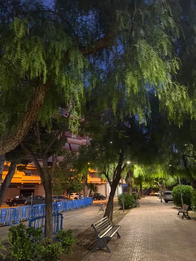 The image depicts an urban park pathway and an adjacent street in Alcàsser, Spain, under a dark blue twilight or night sky. Large trees with dense, weeping green foliage, illuminated by artificial light, canopy over the scene. The pathway, constructed from patterned, light-toned interlocking pavers, extends into the distance, lined with multiple dark metal benches featuring wooden slats. Scattered purple floral debris is visible on the pathway surface near the foreground. To the left of the pathway, a continuous line of blue metal pedestrian barriers, one displaying a white arrow symbol, separates it from an asphalt street. Several parked vehicles are visible on the street, including a black sedan, a dark grey SUV, a light-colored car, and another dark car further down. In the background, multi-story buildings with illuminated windows and warm orange-yellow facades are discernible. Additional green shrubs and smaller trees are present along the pathway and near the buildings. No individuals are visible within the frame.