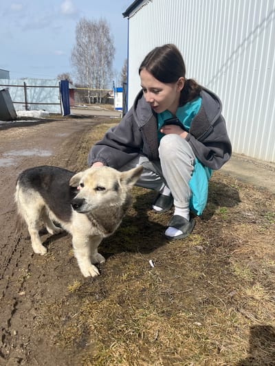 The image shows a young woman crouching next to a dog in an outdoor setting, likely in the city of Норья, Russia.

The woman has dark hair and is wearing a grey jacket over a light blue top, grey sweatpants, white socks, and black sandals. She is looking down at the dog, with one hand resting on its head or back.

The dog is medium-sized with white and grey fur. It is lying on the ground and appears to be looking to the left of the frame.

The setting is outdoors, with a corrugated metal fence in the background. The ground is a mix of dirt, mud, and dry grass. In the distance, there are trees without leaves, suggesting it is late winter or early spring. There are also glimpses of other buildings or structures in the background, suggesting a residential or semi-rural area.