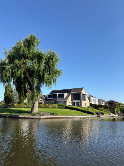 This is a wide shot of a canal in the city of Leerdam, Netherlands. In the foreground, the dark water of the canal is rippled and reflects the sunlight. On the left bank, a large weeping willow tree with dense green foliage dominates the scene, its trunk gnarled and textured. Behind the tree and to the right, a row of modern houses with beige brick exteriors and dark-tiled roofs are situated on a grassy slope. The houses have large windows, some covered by dark shutters. The landscape is well-maintained with manicured lawns and hedges. The sky is a clear, bright blue with no visible clouds. The overall impression is a tranquil, sunny day in a suburban canal-side setting.