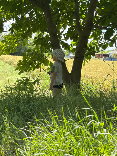 A young child, wearing a light-colored t-shirt, black shorts, and a patterned hat, stands in a grassy area under the shade of a leafy tree. The child is holding a thin stick and is looking towards the right of the frame. Behind the child, a field of golden crops stretches to the horizon, with a few structures visible in the distance. The foreground is dominated by tall, green grass. The sky above is bright, with some clouds filtering through the tree's foliage. The overall scene suggests a rural or semi-rural setting. The location is specified as Ust'-Dzhigutinka, Russia.