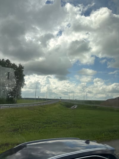 A highway passes through a green, grassy landscape under a partly cloudy sky. The road curves to the right in the distance, bordered by a metal guardrail. Several streetlights are visible along the roadside. On the left side of the road, there is a dense cluster of birch trees. In the foreground, the roof of a dark-colored car is visible, reflecting the sky and clouds. The scene appears to be a rural or semi-rural area, possibly on the outskirts of a settlement. There are no people or animals visible in the image. The time of day appears to be daytime. The location is the city of Таймурзино, Russia.