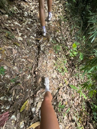 The image captures a view of a forest floor covered in dry leaves and small white flowers in Suối Giàng, Vietnam. In the foreground, two pairs of human legs are visible, each wearing sneakers and socks. The legs on the left appear to be darker in skin tone compared to the legs on the right. The forest floor is littered with foliage. In the background, lush green plants and bamboo are seen. The lighting indicates a partly sunny day.