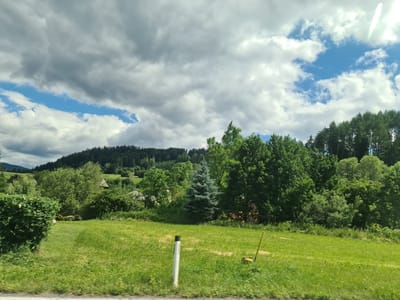 This is a photograph of a rural landscape in Sankt Lorenzen bei Scheifling, Austria. The scene features a rolling green meadow in the foreground, with a white post and a yellow stake with a shovel head lying on the grass. In the mid-ground, a variety of trees dominate the landscape, including a prominent conical blue spruce tree. Behind the trees, a wooded hillside rises, topped with a dense forest. The sky above is dramatic, with a mix of dark, heavy clouds and patches of bright blue sky. A distant house with a wooden roof is partially visible amongst the trees on the hillside. The overall impression is one of a serene, natural environment under a dynamic sky.