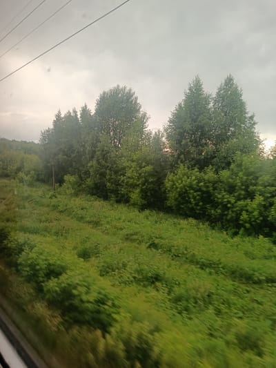 The image depicts a landscape view from a moving vehicle, likely a train, as indicated by the motion blur and overhead wires. The scene is dominated by lush green vegetation, including trees and dense undergrowth, stretching across rolling hills. The sky is overcast with a grayish hue, suggesting a cloudy or possibly rainy day. In the foreground, the blurred greenery suggests the speed at which the photo was taken. In the midground, a single utility pole is visible among the trees, and further back, more trees form a dense forest. The overall impression is one of natural scenery passing by. The image is set in Arsk, Russia.