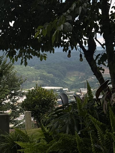 This image captures a lush, green landscape viewed from a slightly elevated vantage point, possibly a balcony or terrace, overlooking a valley in Đa Lộc, Vietnam. The foreground is dominated by dense foliage, including ferns and broad-leafed plants, with a stone pillar visible to the left of center. In the midground, several structures resembling greenhouses or agricultural buildings are scattered across the landscape. Beyond these, rolling, tree-covered hills recede into the distance, shrouded in a soft, atmospheric haze. Two bare light bulbs hang from wires in the upper portion of the frame, suspended from tree branches, suggesting an outdoor seating area or a decorative lighting feature. The overall impression is one of a serene, natural setting with evidence of human activity in the form of agricultural structures and outdoor amenities.