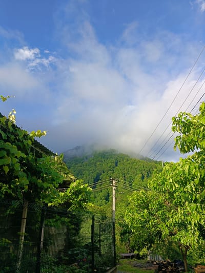This image depicts a serene, lush green landscape in Kepsha, Russia, under a bright blue sky dotted with scattered white clouds. The scene is characterized by the vibrant greenery of trees and foliage, suggesting a warm, pleasant day, likely in the late morning or early afternoon given the lighting.
In the foreground, a black metal fence borders a garden area, with various plants and vines growing around and over it. To the left, a portion of a grey, corrugated metal roof is visible, also draped with green vines. On the right side of the frame, a leafy tree with bright green leaves stands prominently, its branches reaching towards the sky. Beyond the fence and trees, a steep, densely forested mountain rises, its upper slopes partially obscured by a soft blanket of mist or low-lying clouds, adding a touch of mystique to the scene.
A utility pole with several wires stretches across the mid-ground, indicating the presence of infrastructure within this natural setting. In the distance, the dense green forest covers the mountain, creating a harmonious blend of nature and the sky. The overall atmosphere is one of tranquility and natural beauty, with no people or specific events visible. The image captures a peaceful moment in a verdant, possibly rural or semi-rural, environment.