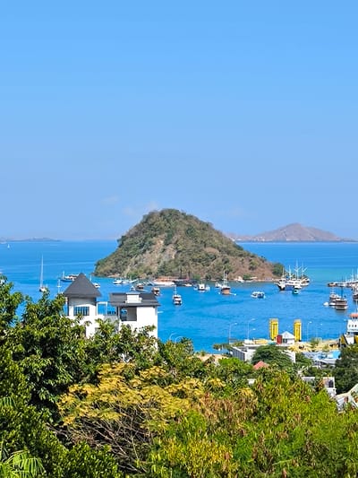 This is a high-angle, eye-level, outdoor, daytime, vertical, full shot of a bay with many boats docked in Labuan Bajo, Indonesia. The bay is filled with blue water. Several islands are visible in the distance, one of which is a prominent, tree-covered conical hill. Numerous boats, including sailboats and larger vessels, are anchored in the bay. In the foreground, there are houses and lush green trees. The sky is a clear, bright blue.