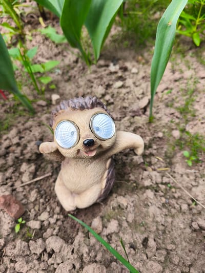 A garden solar light shaped like a hedgehog is positioned in soil between green plants. The hedgehog figure is light brown with a darker brown spiky back. Its face features large, round, bright white eyes, a small black nose, and a slightly open mouth. Its arms are outstretched. The surrounding environment consists of dark soil with small pebbles and green sprouts. In the background, large green leaves of plants are visible, with some dry grass and dirt patches. The lighting suggests it is daytime. The image was taken in Puchezh, Russia.
