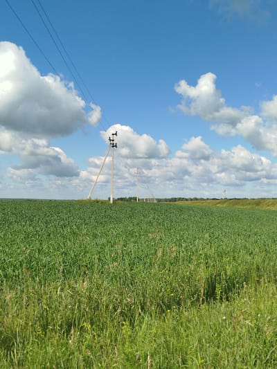 The image depicts a vast, green field of crops under a bright blue sky dotted with fluffy white clouds. Power lines stretch diagonally across the frame, supported by tall, concrete poles that punctuate the horizon. The field appears to be agricultural land, possibly in Russia given the provided location context. The lighting suggests it is daytime, with the sun illuminating the scene. There are no people or specific activities visible; the focus is on the natural landscape and infrastructure. The scene evokes a sense of open space and rural tranquility. The presence of power lines indicates a connection to civilization, yet the expansive field and clear sky give a feeling of being in nature.