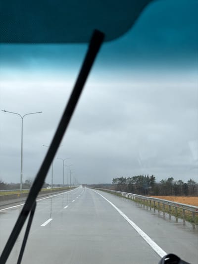 The image captures a multi-lane highway scene, viewed from inside a vehicle through a wet windshield. A blurred black windshield wiper blade extends diagonally from the upper-left to the lower-right foreground. The upper portion of the windshield features a blue-tinted band. The highway pavement is wet and reflective, with prominent white dashed and solid lane markings visible.
Along the left side of the highway, a concrete barrier separates the lanes, followed by a long series of evenly spaced, tall grey streetlights with double arms that recede into the distance. A white passenger vehicle is distantly visible on the left side of the road. On the right side of the highway, a silver metal guardrail equipped with red reflectors parallels the road, backed by a strip of dry, light-brown vegetation and a line of dark green trees. Far down the highway, a red semi-truck is visible in the distance. The sky is uniformly overcast and grey. The scene is located in the city of Siktarva, Georgia. No individuals are present in the visible frame.