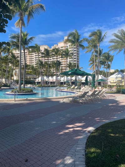 A tropical outdoor setting features a swimming pool bordered by palm trees and buildings under a clear blue sky. Rows of lounge chairs line the pool's edge, offering a space for relaxation. A patterned walkway runs adjacent to the pool, with green grassy area bordering the walkway. The composition suggests a resort or vacation spot.