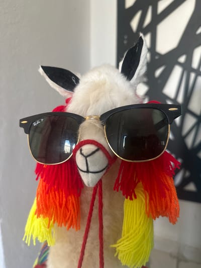 A close-up shot depicts a stuffed llama adorned with sunglasses. The llama is white with black ears and has a colorful mane of red, orange, and yellow yarn. It also has a red string tied around its neck. Black Ray-Ban sunglasses rest on its face. The background shows a blurred black decorative metal piece against a light-colored wall. The location is not specified, and there's no visible indication of it being Mérida, Mexico, in the image.