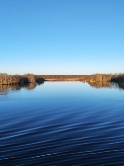 The image depicts a tranquil body of water, possibly a lake or wide river, under a clear blue sky. The water is deep blue and shows ripples across the surface, suggesting a light breeze.
The shoreline is lined with trees, mostly bare of leaves, indicating it is likely late fall or early spring. A stretch of low-lying vegetation or wetland area extends behind the treeline in the distance. The scene overall conveys a sense of calm and stillness.
The image is not geolocated; however, the user prompt suggests a location in Kurdiug, Russia. Assuming this is accurate, the image might depict a landscape typical of the region, characterized by lakes, rivers, and boreal forests.