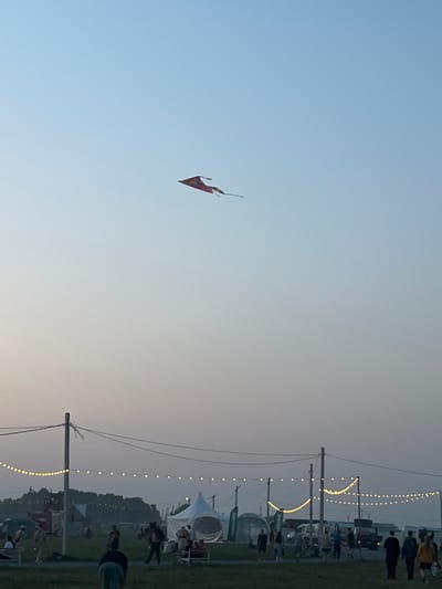 A red kite is flying high in a pale blue sky. Below, a grassy field is dotted with people, tents, and structures. String lights are strung between poles, casting a warm glow across the scene. The overall atmosphere suggests an outdoor event or festival. The location is the city of Surakovo, Russia.
