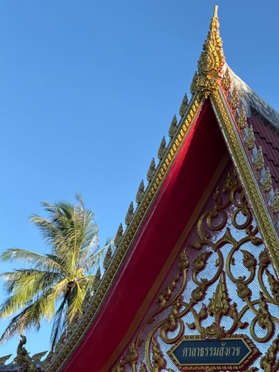 A low-angle shot shows the ornate red and gold roof of a Thai building against a clear blue sky. The roof features intricate gold detailing, including scrollwork and stylized mythical creatures, and a mosaic pattern on its underside. A dark blue plaque with gold Thai text is visible on the right side of the roof.

A cluster of palm fronds from a coconut tree enters the frame from the lower right, appearing vibrant green and lush. The leaves are slightly blurred, suggesting they are either moving in a breeze or are out of focus due to the camera's perspective. The lighting indicates it is daytime, likely with bright sunlight given the clear sky and strong highlights on the golden ornamentation.

The scene evokes a sense of tropical warmth and cultural richness, characteristic of a location like Baan Tha Po, Thailand. The combination of the elaborate architecture and the tropical foliage creates a visually appealing contrast. The text on the plaque reads "ศาลาธรรมสังเวช" which translates to "Sala Tham Sangwech" or "Hall of Virtuous Empathy". There are no people visible in the image.