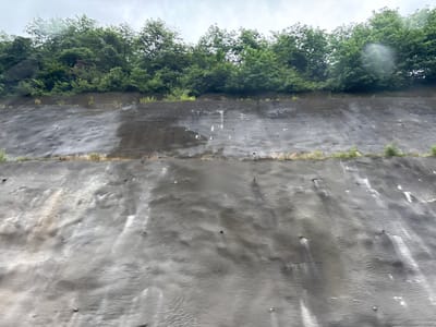 The image shows a man-made retaining wall covered with a dark, textured material, possibly geotextile or erosion control fabric. The wall is sloped and appears to be reinforced with metal stakes or anchors visible as small protrusions. Above the wall, a dense line of lush green trees forms a natural boundary. The sky is overcast with a light gray hue. There are no visible people or identifiable structures from the city of Achara, Georgia in the image.