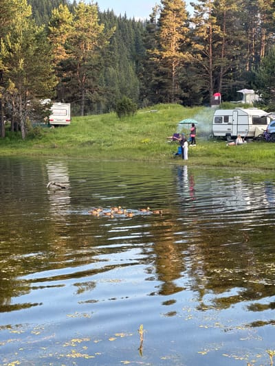 The image depicts a scenic lakeside campsite with campers enjoying the outdoors. In the foreground, the rippling surface of a lake reflects the surrounding trees and sky, with patches of aquatic vegetation visible. A small group of people is gathered on the grassy shore, some seated in camping chairs under a large umbrella. One person appears to be tending to a small fire, with smoke rising. Behind them, several recreational vehicles, including a white travel trailer and a smaller camper, are parked. The background is dominated by a dense forest of tall pine trees, characteristic of a mountainous or wooded region. The lighting suggests it's late afternoon or early evening, with the sun casting a warm glow on the trees. The overall atmosphere is one of relaxation and leisure. There is no visible text in the image.