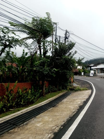The image displays a curved asphalt road in Bangtsho, Bhutan, under an overcast, light grey sky. A continuous white line marks the right edge of the road, which curves to the right and recedes into the distance. To the immediate left of the road, a concrete pedestrian path or shoulder features a black metal grate drainage system running parallel to the road. Further left, dense green vegetation, including trees with large fronds and various bushes, grows behind a partially visible brown brick wall. Multiple utility poles with a complex network of numerous tangled black overhead wires are prominent in the central and upper-right sections of the frame. In the distant background, mountains are partially obscured by mist or low clouds. Several light-colored buildings with dark roofs are visible further along the road on the right. No individuals are present. The foliage of some trees exhibits motion blur, consistent with wind movement or camera motion.