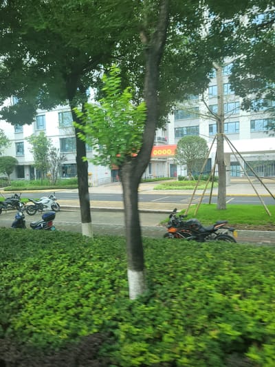 The image captures a street scene in Yufengshan, China, with a modern apartment building in the background. Several trees are prominent in the foreground and middle ground, some with white paint on their lower trunks. In front of the building, there's a paved area with parked motorcycles. Specifically, a white sportbike is visible, along with a black motorcycle and a blue scooter. Green hedges and grass line the street and sidewalk, suggesting a well-maintained urban environment. The building features numerous windows and balconies, typical of residential architecture. A sign with Chinese characters is partially visible on the building. The overall impression is of a quiet, residential area.