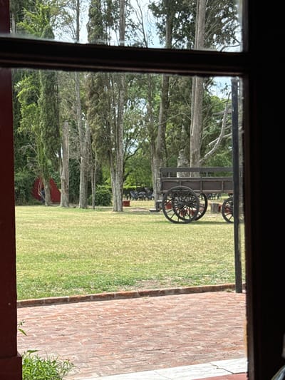 A view through a window shows a grassy field punctuated by tall, thin trees. Several old-fashioned wagons with spoke wheels are placed in the field. To the right of the field, a brick wall is visible. The window frame is dark, and the scene is bathed in natural light. Some plants are seen near the bottom of the brick wall.
