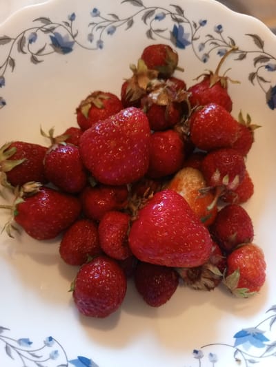 A close-up, overhead shot showcases a white, scalloped-edge bowl filled with a generous amount of ripe, red strawberries. The strawberries are plump and glistening, with visible seeds and green leafy tops on many of them. Some strawberries are whole, while others appear to have been cut or broken. The bowl itself is decorated with a delicate blue floral pattern along its rim. The lighting is somewhat dim, casting soft shadows on the fruit. The image does not contain any information about the city of Dyurtyuli, Russia, or any people.