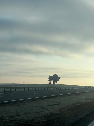 The image depicts a dark silhouette of a European bison standing on the side of a highway. The background shows a hazy, overcast sky and a field with power lines in the distance. The location is Крошынскі сельскі Савет, Belarus.