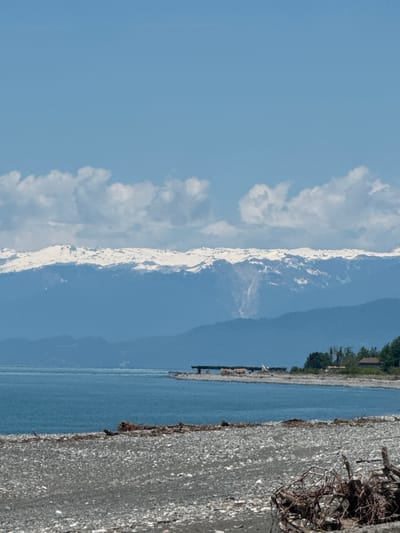 The image captures a panoramic landscape, likely depicting the region of Warcha, Abkhazia, featuring mountains, water, and a shoreline under a bright sky. In the upper part of the frame, a clear, light blue sky stretches, dotted with scattered white cumulus clouds, particularly dense on the left side.

Horizontally across the middle of the scene, a prominent, long snow-capped mountain range is visible, its white peaks contrasting with the softer blue of the distant, non-snowy mountains or foothills behind them, suggesting atmospheric perspective. Below these mountains lies a calm expanse of blue water, which could be the Black Sea, reflecting the clear sky.

The lower right portion of the image is dominated by a light-colored, pebbly or rocky beach that borders the water. On this beach, in the extreme foreground on the right, there is a large collection of dark, gnarled driftwood or tree roots. Along the far side of the water, a thin strip of green trees and hints of a few distant buildings are discernible on the distant shoreline.

The scene is bathed in bright daylight, indicating clear and sunny weather. There are no people visible, nor any discernible text. The overall impression is one of natural beauty and tranquility.