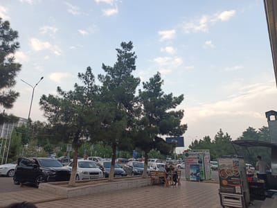 The image captures a street scene in Namangan City, Uzbekistan, likely in the late afternoon or early evening given the soft, diffused light. Tall pine trees line a paved walkway, with a parking lot full of cars situated behind them. In the foreground, a group of people are seated at a wooden picnic table, appearing to be engaged in conversation.
To the right, a food stall is set up, with a vendor in a white t-shirt attending to customers. The stall features a menu board with images of kebabs and prices listed in Uzbek. Signs for "PAYNET" (likely a payment service) and computer-related services are visible on display kiosks. The weather appears to be pleasant, with a few scattered clouds in the sky.
Cars are a prominent feature of the scene, with various models parked along the street and in the lot. One black car with its door ajar draws attention. The architecture in the background, including a building with the word "LITSE" (likely meaning Lyceum) visible, suggests an urban environment. The overall atmosphere seems relaxed and typical of a bustling street in a Central Asian city.