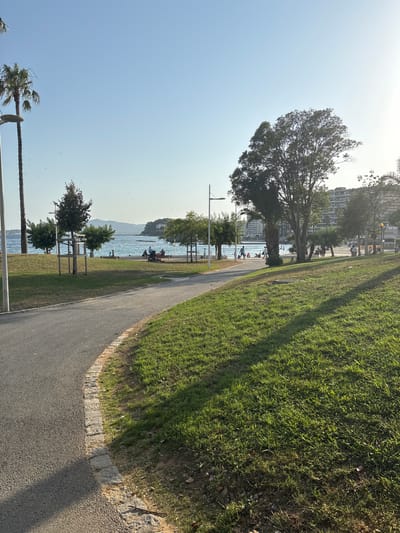 The image depicts a paved pathway curving to the left, bordered by a strip of stone edging and a grassy area with distinct shadows cast by trees. In the background, the Mediterranean Sea is visible, with several people on a beach and in the shallow water. Trees and palm trees line the edge of the beach. Beyond the beach, buildings and a hill are visible in the distance, characteristic of the coastal landscape of Toulon, France. The sky is clear and blue, with a bright sun creating the shadows.