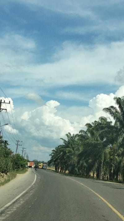 The image shows a view of a paved road in Seumadam, Indonesia, with a line of palm trees bordering the right side of the road. The sky is blue with scattered white clouds. Several trucks are visible on the road, some in motion and some stopped. On the left side of the road, there are utility poles with power lines and vegetation. The road curves slightly to the left in the foreground.