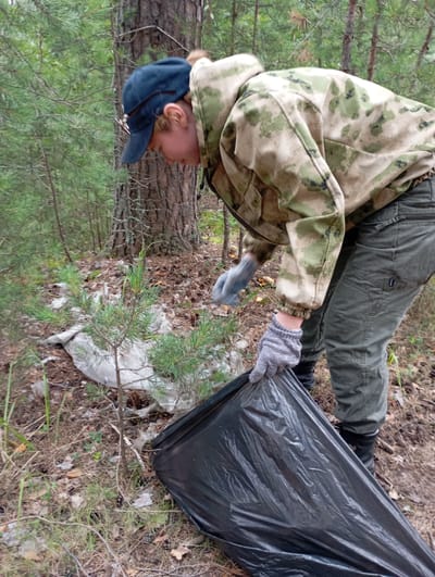 A person wearing a camouflage jacket, dark blue baseball cap, grey gloves, and green pants is cleaning up litter in a forest. The person is bent over, holding open a black garbage bag with their left hand and using their right hand to pick up trash. Several small pine trees are visible, as well as a large tree trunk. The ground is covered with pine needles, leaves, and some white plastic litter. The location is a forest in Vekoshinka, Russia.