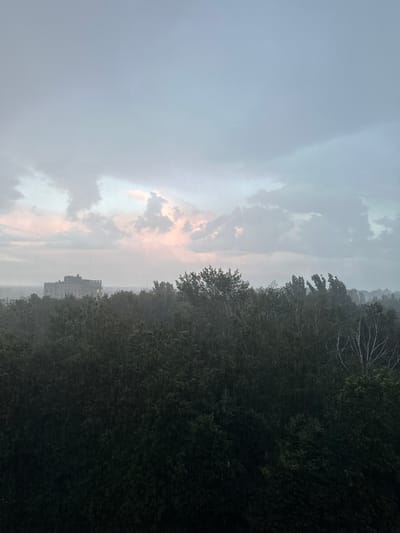 The image captures a rainy day scene from an elevated perspective, looking out over a densely forested area. In the distance, a multi-story building with a few illuminated windows is visible against a hazy sky. The sky itself is overcast with clouds tinged with soft pink hues, suggesting either dawn or dusk. Visible streaks of rain fall throughout the frame, adding to the atmospheric and somewhat somber mood of the environment. The foreground is dominated by the dark, lush foliage of trees, their leaves appearing wet and heavy. The overall impression is one of a tranquil yet slightly melancholic natural landscape interrupted by the presence of distant human structures. The location is the city of Krugloe, Russia.