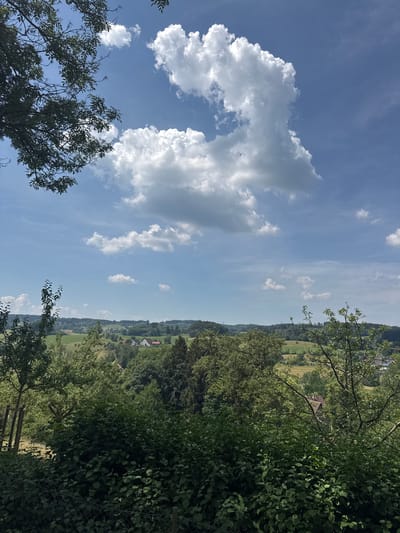 A vertical, wide-angle outdoor shot captures a bucolic landscape on a sunny day in Wolfegg, Germany. In the foreground, lush green foliage obscures a wire fence, with the branches of trees extending into the frame from the top left and right. Beyond this verdant barrier, rolling hills stretch into the midground, dotted with scattered houses and trees. The background is dominated by a bright blue sky, punctuated by fluffy white cumulus clouds. The overall impression is one of tranquility and natural beauty.