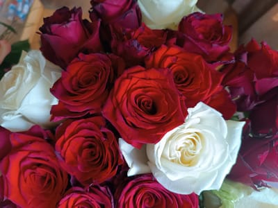 A close-up, high-angle shot showcases a bouquet of roses, predominantly in shades of deep red and white. The roses are fully bloomed, with their intricate petal structures clearly visible. Some petals exhibit a darker, almost burgundy hue at the edges, suggesting a rich, velvety texture. The white roses stand out with their pristine, creamy white petals, contrasting sharply with the vibrant reds. The bouquet is arranged in a densely packed manner, with roses overlapping each other, creating a luxurious and abundant visual effect. The background is softly blurred, hinting at a neutral or possibly natural setting, though no specific urban or natural features are discernible. The image does not depict any people, actions, or interactions. The lighting appears to be natural, highlighting the textures and colors of the flowers.