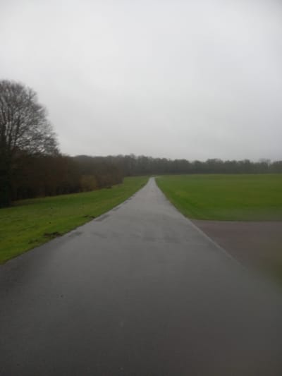 A narrow, wet road stretches into the distance, flanked by green grass on either side. On one side, a line of trees stands, their leaves mostly gone. The sky is overcast and grey. The perspective is such that the road appears to converge to a point far away. The scene suggests a rural or park setting during a rainy season.