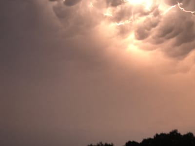 The image is a close-up, high-angle shot of a stormy sky with mammatus clouds. Lightning can be seen in the upper right portion of the frame, illuminating the underside of the clouds with a bright, electric yellow. The clouds are dense and dark, with a textured, bulging appearance typical of mammatus formations. The rest of the sky is a muted, dusky gray-pink, suggesting either dawn or dusk. In the very bottom of the image, a dark, blurry line of trees is visible, silhouetted against the sky. There are no people or man-made objects clearly visible in the frame, and no specific identifiable landmarks of Putten, Netherlands. The scene depicts a dramatic weather event occurring in a natural landscape.