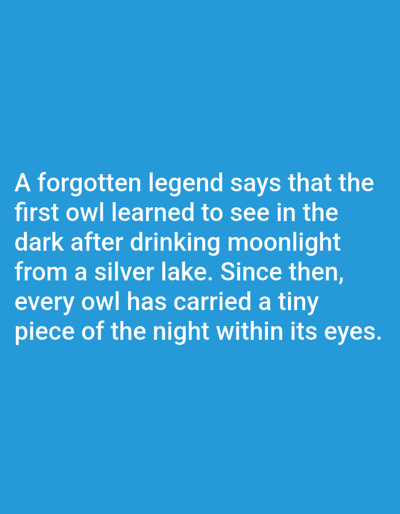 A blue background displays white text that reads: "A forgotten legend says that the first owl learned to see in the dark after drinking moonlight from a silver lake. Since then, every owl has carried a tiny piece of the night within its eyes."