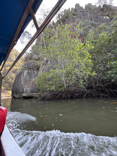A boat ride reveals a landscape of rock formations and lush greenery. Trees cling to the rocky terrain, their branches extending towards the murky water. The vessel creates a foamy wake. The boat's frame and safety gear are visible in the foreground, providing a sense of being on a journey through a natural setting.