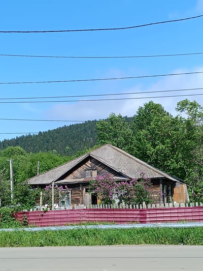 The image depicts a rural scene in the city of Krasnopol'ye, Russia. In the foreground, a grey asphalt road is visible, bordered by a strip of green grass with a few yellow wildflowers. Behind the grass, a red corrugated metal fence runs horizontally across the frame. A section of a grey corrugated metal pipe is positioned on top of the grass, in front of the fence.
Behind the fence is an old, weathered wooden house with a grey, corrugated roof. The house appears to be single-story and has a traditional, rustic architectural style. A cluster of vibrant purple lilac bushes is blooming in front of the house, adding a splash of color to the scene. A wooden fence, partially obscured by the lilac bushes, runs along the property line.
In the background, a dense forest covers a rolling hillside. The trees are a lush green, suggesting a warm season. The sky above is a clear, bright blue with a few wispy white clouds. Several dark power lines stretch horizontally across the upper portion of the image, indicating the presence of infrastructure in the area. The overall impression is one of a quiet, rustic setting in a natural environment.