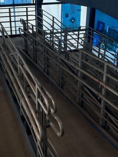The image shows a series of metal ramps and railings in what appears to be an outdoor or semi-outdoor urban setting. The ramps are angled upwards and are constructed from sturdy metal bars, forming a walkway with handrails on either side. The railings are also made of metal, with a combination of vertical and horizontal elements. In the background, there are large panels that are translucent and have a blue tint, suggesting they might be made of plastic or colored glass. Some of these panels have graffiti or markings on them. The ground surface appears to be concrete or asphalt. The overall impression is of a functional, utilitarian structure, possibly part of a public building, bridge, or transportation hub. There are no people visible in the image.