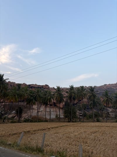 The image depicts a rural landscape near Koramma Camp, India, under a light blue sky with sparse, wispy clouds. In the foreground, the edge of a paved surface is visible on the bottom left, alongside two partially visible concrete fence posts with attached wire mesh. A field of dry, harvested straw or crop stubble occupies the lower portion of the image. The midground features a dense row of numerous palm trees with green fronds, positioned at the base of a large rocky hill. Scattered smaller green trees and a visible stack of hay or dried straw are present among the palm trees. The background is dominated by a substantial natural rock formation composed of reddish-brown and grey boulders, exhibiting natural striations. Three parallel utility lines traverse the sky horizontally, positioned above the rock formation. No people, animals, or active interactions are visible in the scene.