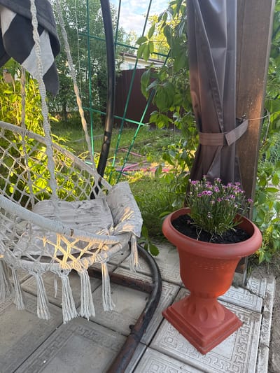 In the city of Tmz Snt, Russia, a serene outdoor setting is captured. The scene features a macrame hammock chair, adorned with a patterned pillow, suspended from a metal frame. Adjacent to the chair, a terracotta planter overflows with delicate pink flowers. The ground beneath is paved with decorative square tiles, and the backdrop is a lush garden environment with green foliage and trees. The lighting suggests it is either early morning or late afternoon, with warm sunlight casting long shadows.