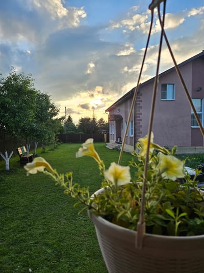 The image depicts a backyard scene in Gornye Moriny, Russia, during what appears to be sunset. In the foreground, a white hanging pot filled with yellow petunias is out of focus. Behind the flowers, a large, light brown house with white-trimmed windows and a dark roof dominates the right side of the frame. A covered entryway with a metal railing leads to the front door. The backyard features a well-maintained green lawn, a wooden bench with a green cushion positioned under a leafy tree on the left side of the image, and a dark brown wooden fence enclosing the property. Several trees are visible in the background, and the sky is filled with dramatic clouds, with the sun setting behind them, casting a warm glow. The overall impression is a tranquil suburban setting at dusk. There are no people visible in the image.