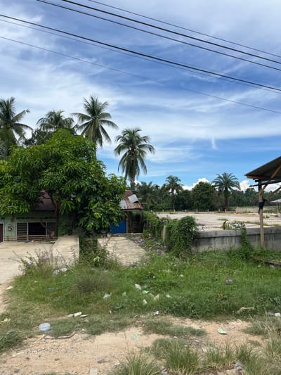 A vertical, eye-level outdoor shot captures a scene in Seunebobaru, Indonesia, dominated by a bright blue sky with scattered white clouds and traversed by several black power lines. In the foreground, a dirt and gravel path leads to overgrown green grass, littered with white and blue plastic trash. A concrete pathway runs diagonally across the middle ground, adjacent to a low concrete wall covered in lush green vines with small purple flowers. Behind this, a cleared concrete area, possibly an outdoor court, is surrounded by a fence. A wooden structure with a corrugated metal roof stands to the right. To the left, a green building with a metal roof and window openings is partially obscured by a large, leafy green tree. Several palm trees are visible throughout the image, some towering over the landscape and others clustered in the background, characteristic of the tropical environment.