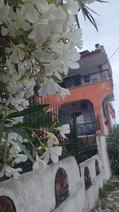 The image depicts a close-up view of white oleander flowers in the foreground, with their delicate petals and green leaves. In the background, a two-story building with orange-colored walls and a dark tiled roof is visible. The building features a balcony with black railings and arched doorways on the ground floor. A black metal fence separates the building from the foreground. The scene appears to be a residential area in Νέα Κερασιά, Greece, with a white wall topped with decorative wrought-iron elements in the immediate foreground. The sky is overcast, suggesting a cloudy day. The overall impression is one of a tranquil, residential setting.