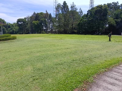 The image depicts a large, well-maintained lawn in Bandar Baru, Indonesia. A man in a green shirt and dark pants is operating a string trimmer on the lawn, indicating he is likely a groundskeeper or gardener. The lawn is surrounded by lush green trees, with tall communication towers visible in the background. The sky is a clear blue with scattered white clouds. A paved walkway runs along the right side of the image, bordering the lawn. The overall scene suggests a park, golf course, or similar public green space within Bandar Baru.