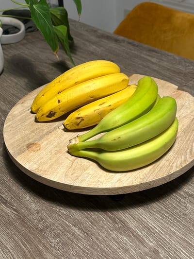 This image, located in an unspecified indoor residence within Wanneperveen, Netherlands, presents a static display of bananas on a wooden surface. A circular, light-toned wooden serving platter, approximately 30-40 cm in diameter and exhibiting visible wood grain and minor surface marks, occupies the central foreground. Positioned on the upper left portion of this platter are four ripe or nearly ripe bananas with predominantly yellow peels, displaying some small brown speckling. On the lower right portion of the platter are four unripe bananas with vibrant green peels, clustered together by their visible stems. The platter rests on a dark brown or gray table surface featuring a distinct wood grain pattern. In the blurred background to the left, a portion of a green plant with broad leaves is visible, along with a fragment of a white plant pot. To the right in the background, a section of a mustard yellow upholstered chair is present. No individuals are depicted. The scene is illuminated by ambient light, creating subtle shadows.