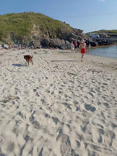 In Carnboy, Ireland, this image captures a sunny day at a beach. The foreground is dominated by rippled, light-colored sand, with a reddish-brown dog running towards the upper left. In the mid-ground, several people are present. One person in a red swimsuit and a large pink hat walks away from the camera towards the water. To their left, three other individuals stand on the sand. Further back, a group of people are seated on chairs near a rocky embankment covered in green grass. The background shows the calm, blue water of a bay, with a concrete pier and a white van parked on it. The sky is clear and bright blue.